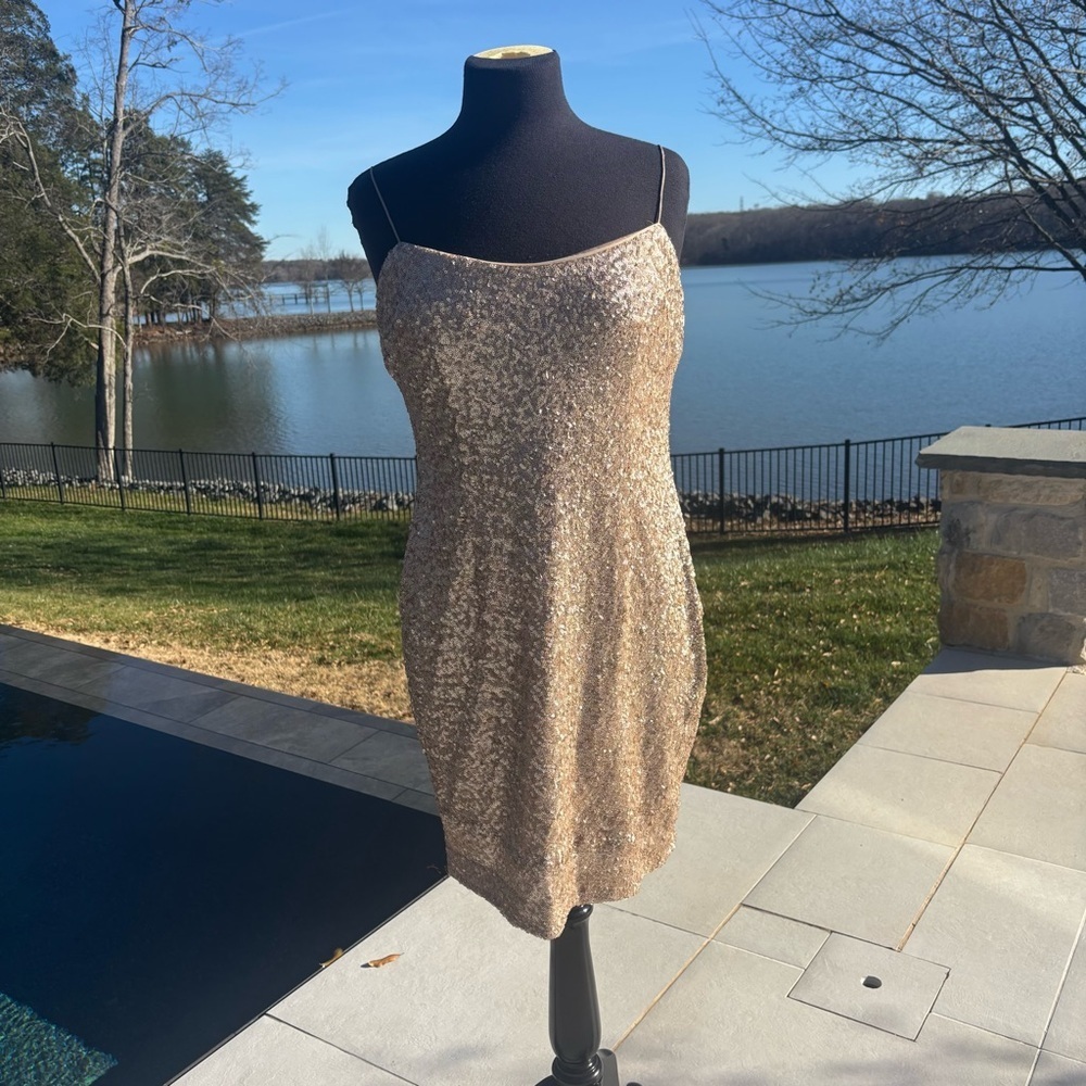 Kay Unger New York Champagne Sequin Slip Dress | Size 12 - Picture 3 of 4